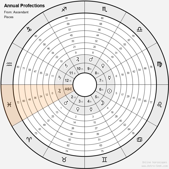 1st house profection year