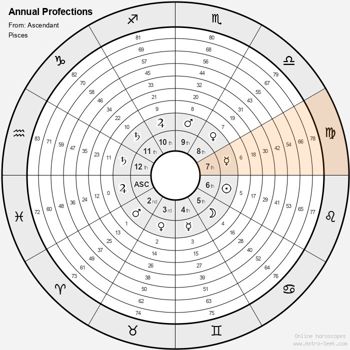 7th house profection year